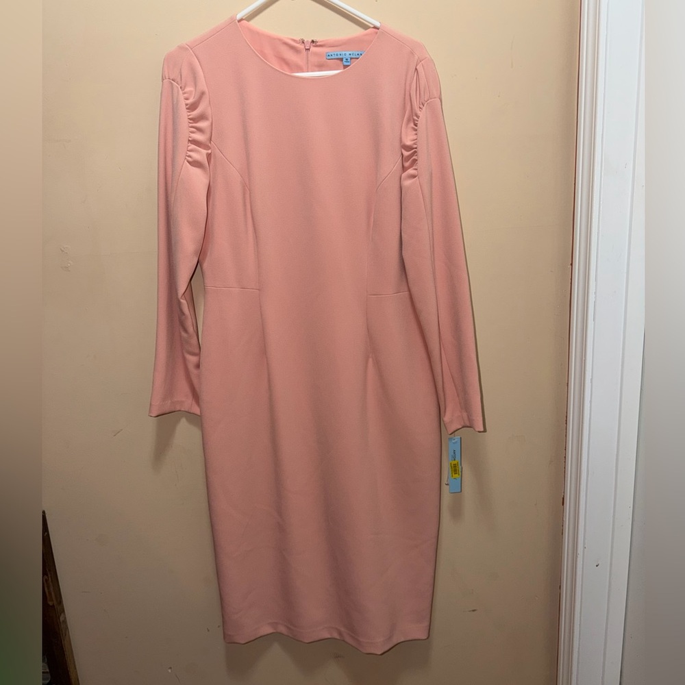 NWT ANTONIO MELANI Blush Long Sleeve Dress LOVE